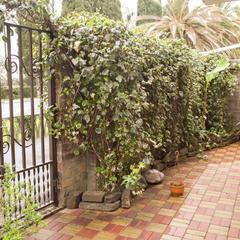 Гостевой дом Лавра, Адлер, Краснодарский край