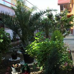 Гостевой дом У Рубика, Адлер, Краснодарский край