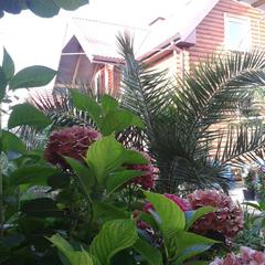 Гостевой дом У Рубика, Адлер, Краснодарский край