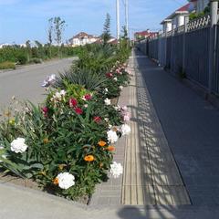 Гостевой дом У Рубика, Адлер, Краснодарский край