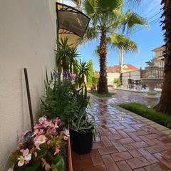 Гостиница Skyfom, Адлер, Краснодарский край