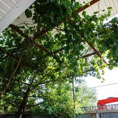 Мини-отель Сочи Олимпийский парк, Адлер, Краснодарский край