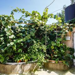 Мини-отель Сочи Олимпийский парк, Адлер, Краснодарский край