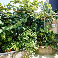 Мини-отель Сочи Олимпийский парк, Адлер, Краснодарский край