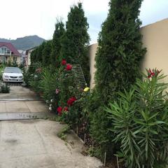 Гостиница Skyfom, Адлер, Краснодарский край