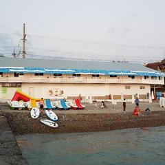 Отель Барракуда, Адлер, Краснодарский край
