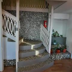 Отель Барракуда, Адлер, Краснодарский край