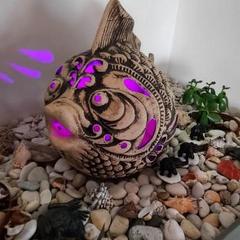 Отель Барракуда, Адлер, Краснодарский край