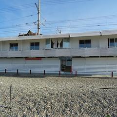 Отель Барракуда, Адлер, Краснодарский край