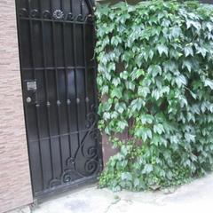 Гостевой дом Дом у моря, Адлер, Краснодарский край