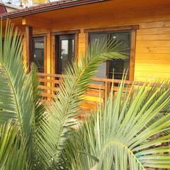 Гостевой дом у Олимпийского парка, Адлер, Краснодарский край