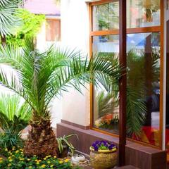 Гостевой дом Сапфир, Адлер, Краснодарский край