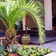 Гостевой дом Сапфир, Адлер, Краснодарский край