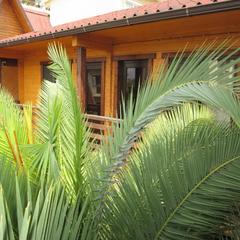 Гостевой дом у Олимпийского парка, Адлер, Краснодарский край