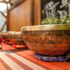 Гостевой дом Счастливый Слон, Адлер, Краснодарский край