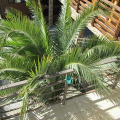 Гостевой дом у Олимпийского парка, Адлер, Краснодарский край