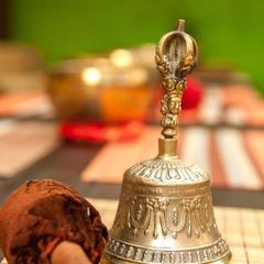 Гостевой дом Счастливый Слон, Адлер, Краснодарский край