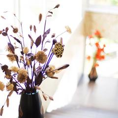 Гостевой дом Сапфир, Адлер, Краснодарский край