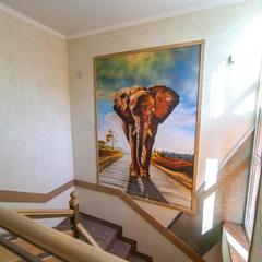 Гостевой дом Счастливый Слон, Адлер, Краснодарский край