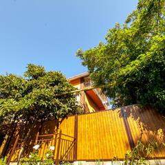 Гостевой дом Счастливый Слон, Адлер, Краснодарский край