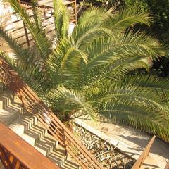 Гостевой дом у Олимпийского парка, Адлер, Краснодарский край