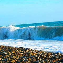 Гостевой дом Adler Olympic, Адлер, Краснодарский край