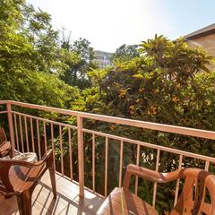 Гостевой дом Счастливый Слон, Адлер, Краснодарский край