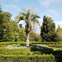 Гостевой дом Adler Olympic, Адлер, Краснодарский край