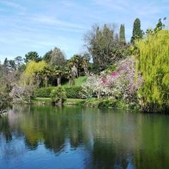 Гостевой дом Adler Olympic, Адлер, Краснодарский край