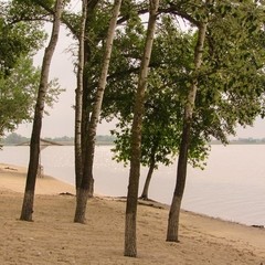 База отдыха Стрелка, Азов, Ростовская область