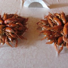 База отдыха Стрелка, Азов, Ростовская область