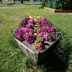 База отдыха Стрелка, Азов, Ростовская область