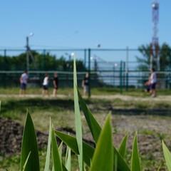 База отдыха Стрелка, Азов, Ростовская область