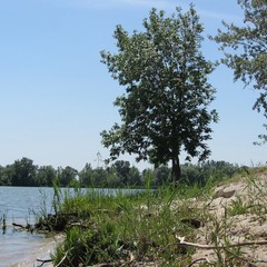 База отдыха Стрелка, Азов, Ростовская область