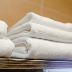 Гостиница Родина, Аксай, Ростовская область