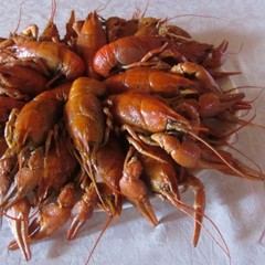 База отдыха Стрелка, Азов, Ростовская область