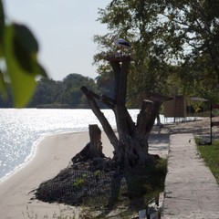 База отдыха Стрелка, Азов, Ростовская область