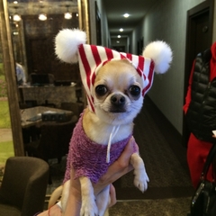 Гостиница Родина, Аксай, Ростовская область