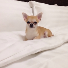 Гостиница Родина, Аксай, Ростовская область