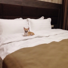 Гостиница Родина, Аксай, Ростовская область