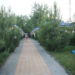 База отдыха Оптимист, Аксай, Ростовская область