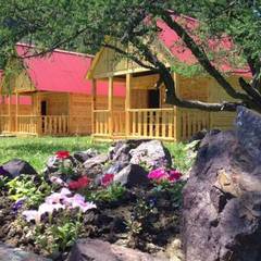 База отдыха Красный Лис, Акташ, Республика Алтай