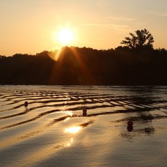 База отдыха Квант, Аксай, Ростовская область
