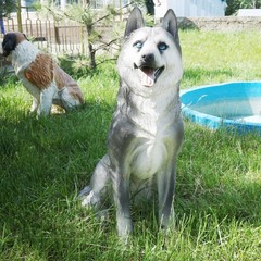 База отдыха Оптимист, Аксай, Ростовская область