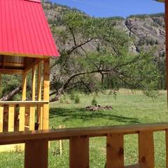 База отдыха Красный Лис, Акташ, Республика Алтай