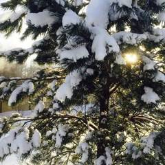 База отдыха Аксаково, Аксаково, Московская область