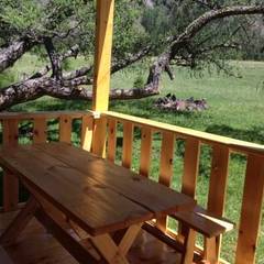 База отдыха Красный Лис, Акташ, Республика Алтай