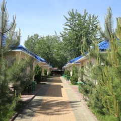 База отдыха Оптимист, Аксай, Ростовская область