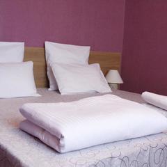 Мини-отель Остров, Александров, Владимирская область