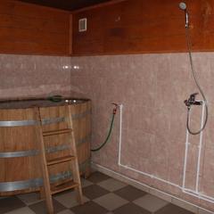 Мини-отель Остров, Александров, Владимирская область